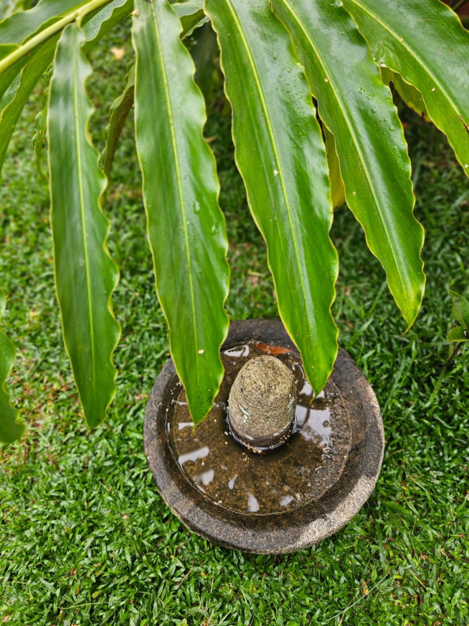 Villa Mia Mararikulam Exterior foto
